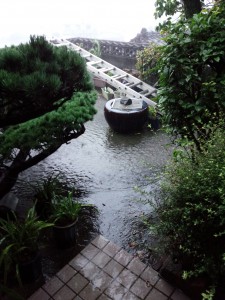 雨水に覆われた庭先